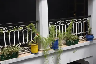 a balcony with a bunch of plants in vases at Riad Dar Alamane in Marrakech