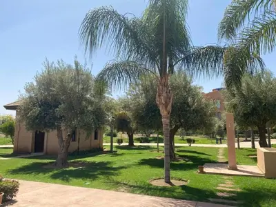 a palm tree in the middle of a yard at Appartement avec Solarium Privé au Vizir Résidence Prestigieuse avec Accès au Parc in Marrakech
