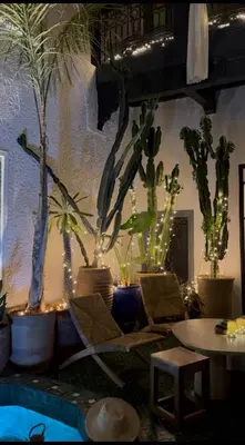 a room with a bunch of potted plants on a wall at Riad La Smala in Marrakech