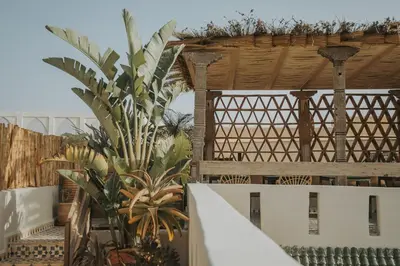 a palm tree in front of a building at Riad Dar M in Marrakech