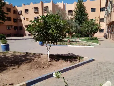 a small tree in the middle of a courtyard at Airport Home in Marrakech