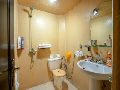 a bathroom with a shower and a toilet and a sink at Agréable Maison de vacances in Marrakech
