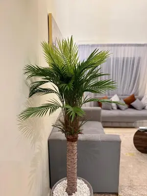 a palm tree in a vase in a living room at The Cosy Duplex With Gym Access & Near Mall, Palooza in Marrakech
