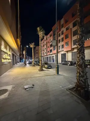 an empty street at night with palm trees and buildings at Confortable & Spacieux & Au Centre-ville in Marrakech