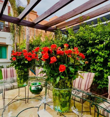 two vases filled with red flowers on a patio at Villa Jenna in Marrakech