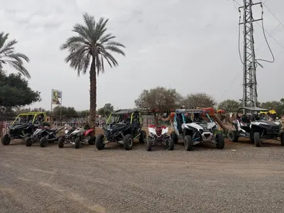 a group of atvs and atvs parked next to palm trees at Quad Marrakech in Marrakech