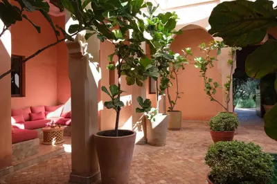 a room with several potted trees and a couch at Villa JENAMAN in Marrakech