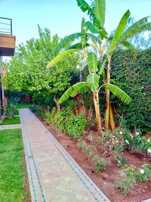 a garden with a sidewalk and a palm tree at Villa beldi chic Amelkis golf in Marrakech