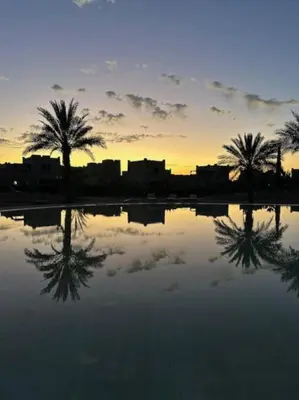 a reflection of palm trees in a pool of water at Villa LES LAURIERS, 4 suites, piscine privée, petit déjeuner compris in Marrakech