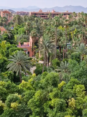 a view of the city from the trees at Luxueux Duplex rooftop en plein cœur de Majorelle in Marrakech