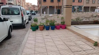 a row of plants in colorful pots on a street at Chez bousfyha 2 in Marrakech