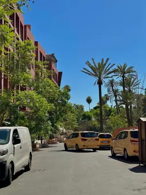 a group of cars parked on a street with palm trees at Duplex Mirador Majorelle in Marrakech
