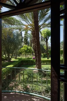 a view of a palm tree from a window at Dar Zemora in Marrakech