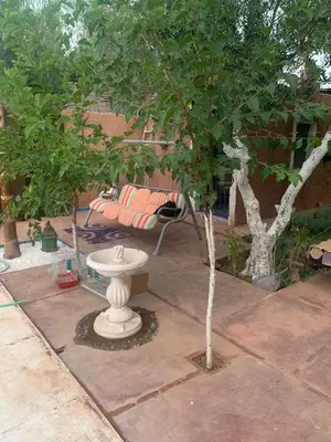 a white statue next to a tree and a couch at Maison coco in Marrakech