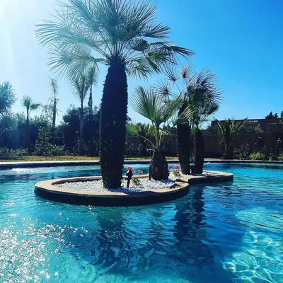 a group of palm trees in a swimming pool at Ferme ADAM Agafay Marrakech in Marrakech