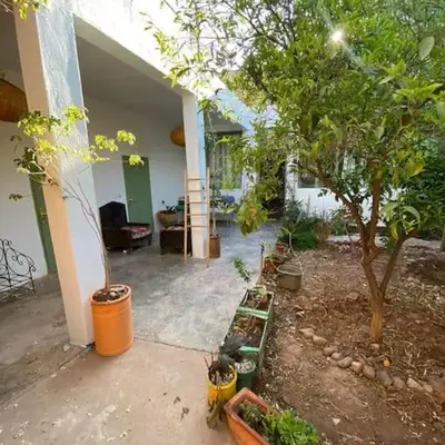 Ali's House