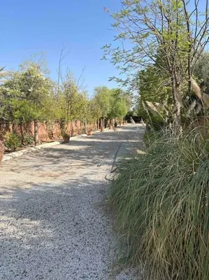 a gravel road with trees and grass on the side at Villa d architecte Marrakech in Oulad Jellal