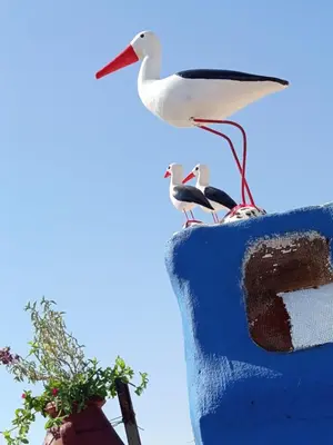 a white bird standing on top of a building at Riad Derb El Aarsa in Marrakech