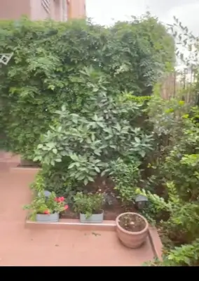 a group of plants in pots in a garden at Porte de Marrakech appartement familial avec jardin in Douar Bellouk