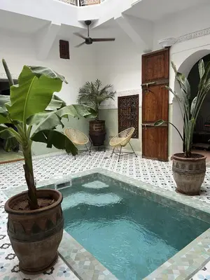 a pool in a room with two potted plants at Riad Panthera, Médina in Marrakech