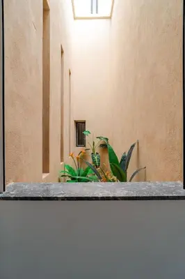 a counter top with some plants in a room at Villa michlo in El Makina