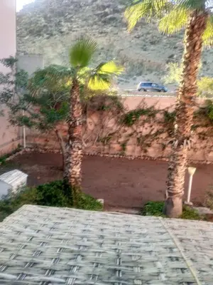 two palm trees on a sidewalk next to a street at Your right choice in Marrakech