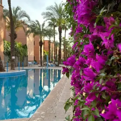 RIAD Le shams