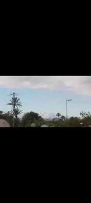 a view of a palm tree and a street light at Apparemment a Marrakech très agr in Marrakech