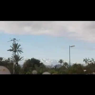Apparemment a Marrakech très agr
