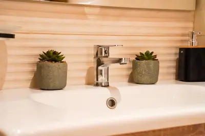 a bathroom sink with two potted plants on it at Appartement 2 chambres perle 24 in Marrakech