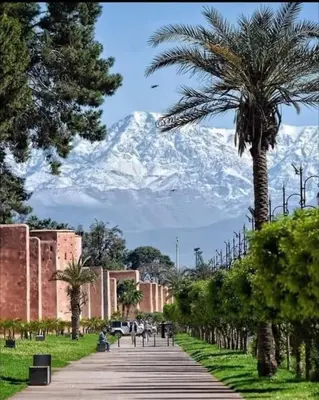 a mountain in the distance with a palm tree and a sidewalk at appartement au coeur de marrakech proche de tout in Marrakech
