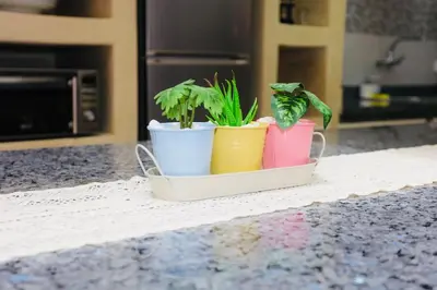 three plants in colorful pots sitting on a counter at Riad Norakech nah zu allen Touristen-Attraktionenr in Marrakech
