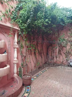 a brick wall with a plant growing on it at Villa Lmima Malika in Marrakech