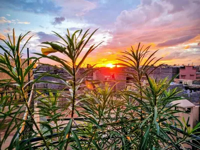 a sunset over a city with plants in the foreground at Riad dar serenity in Marrakech