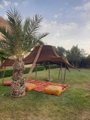 a palm tree with an umbrella next to a palm tree at Villa Bohème Havre de paix, piscine chauffée,4 Suites in Marrakech