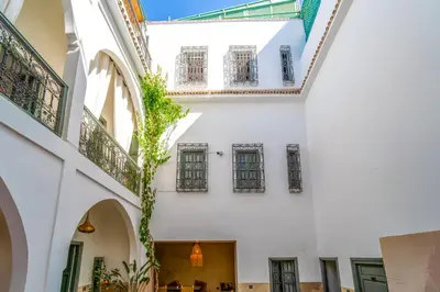 a courtyard of a building with windows and a plant at Riad Nafora in Marrakech