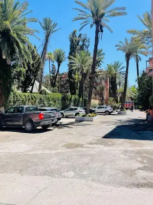 two cars parked in a parking lot with palm trees at Centre ville Majorelle avec Parking gratuit in Marrakech
