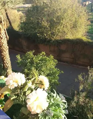 a bunch of white flowers in a garden at Centre ville Majorelle avec Parking gratuit in Marrakech