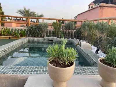 a swimming pool with potted plants on a building at Riad Ptit Kech, Bassin terrasse - Petits déjeuners in Marrakech