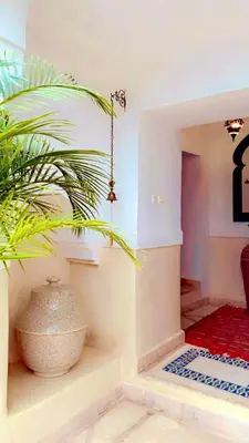 a living room with a plant in a vase at Authentique riad Emplacement exceptionnel in Marrakech