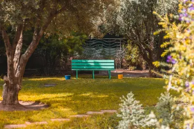 a green park bench in a park with trees at Marrakech Garden Tropical Escape in Marrakech