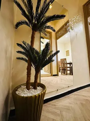 a palm tree in a pot in front of a mirror at Soleil de Medina in Marrakech