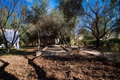 a park with trees and a swing set at La Villa Safran Ailleurs sous les Oliviers in Marrakech