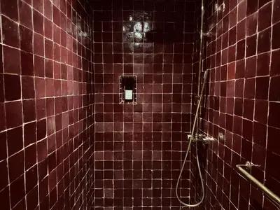 a dark red tiled bathroom with a shower at Riad SASHA Exclusive&New Pool 6 pax Free Breakfast in Marrakech