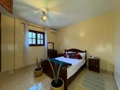 a bedroom with a bed and a potted plant at B and b in our house in Marrakech