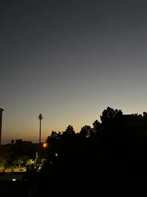 a sunset with a palm tree in the background at Heart of Marrakech city center - Gueliz in Marrakech