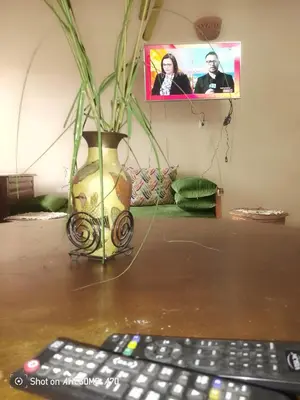 a remote control sitting on a table next to a vase at Au cœur de Marrakech in Marrakech