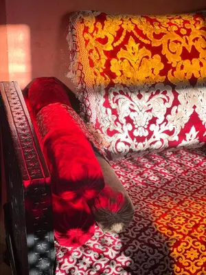 a cat laying on a bed with a red blanket at Un rêve à Marrakech in Marrakech