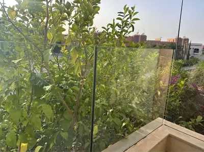 a garden with a fence and a tree at Maison du Bonheur à Marrakech in Marrakech