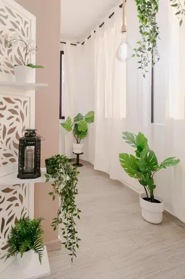 a hallway with potted plants in a room at Where Serenity Meets Style - Marrakech Downtown in Marrakech